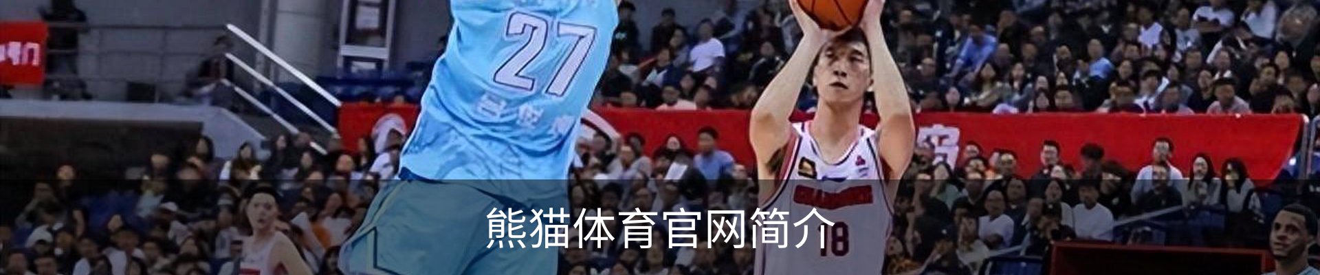 熊猫体育官网简介